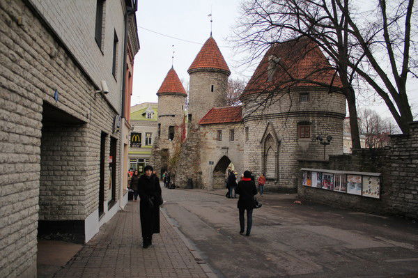 Лариса Рубцова