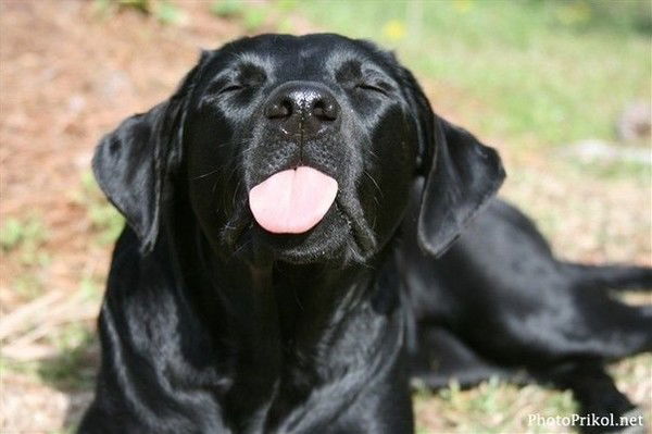 Оксана Власен