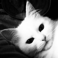 Александра Кучева