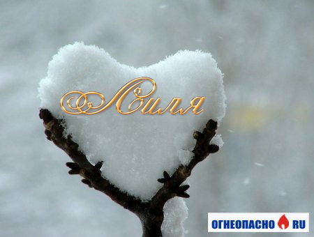 Лилия Николаева