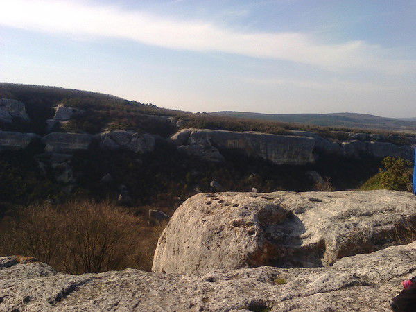 Владимир Харитонов