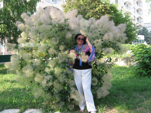 Светлана Савельева