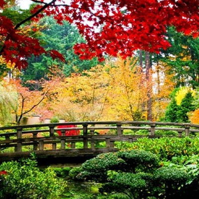 Светлана Риф