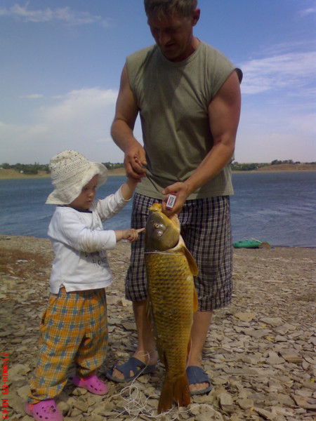 Вадим Козлов