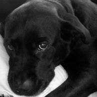 Тесленко Екатерина