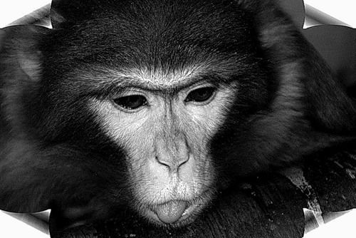 Геннадий Юрковский