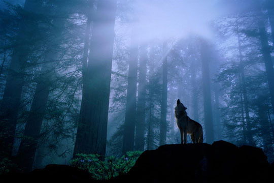 Гришанин Юра