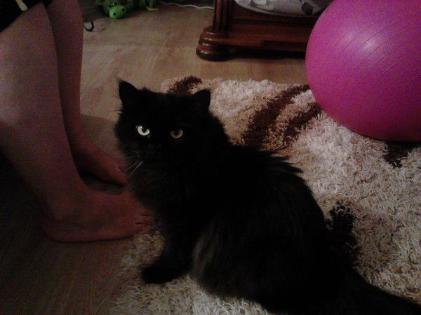 Рокси Биливикс