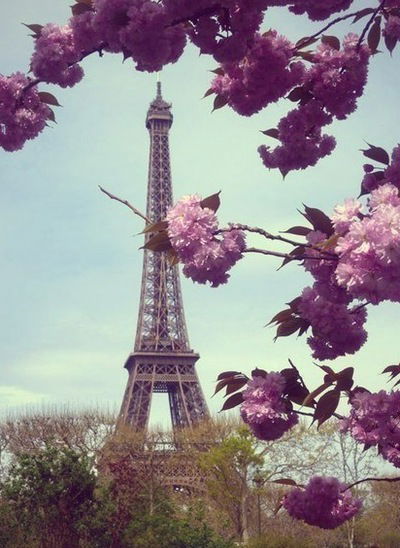 Юлия Харламова