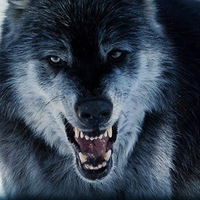 Булат Миндубаев