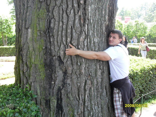 Алексей Алексеев