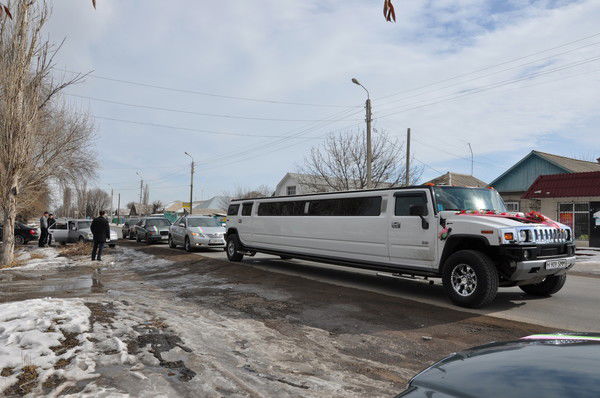 Свободный Mr.85 Года