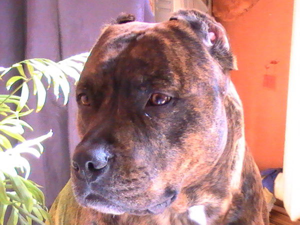 Сергей Ефименко