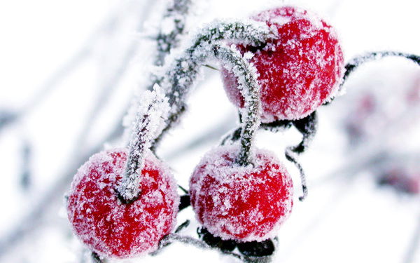 Асель Ахметкалиева