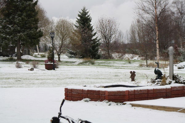 Елена Рыжанкова