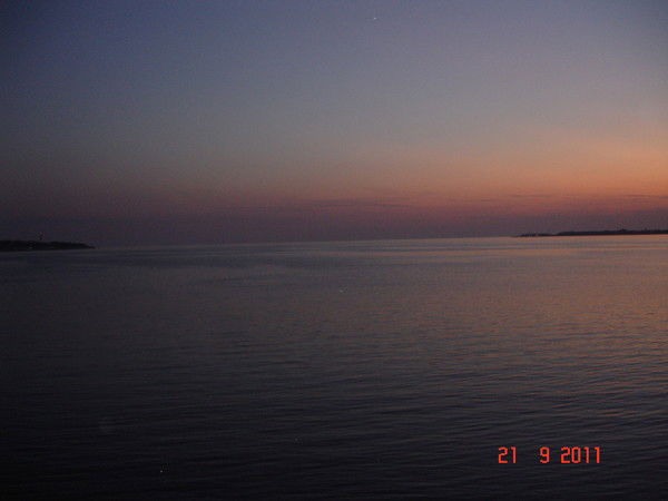 Алексей Игоревич П