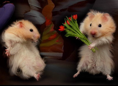 Наталья Травникова