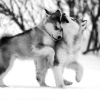 Мереке Сандыбаев