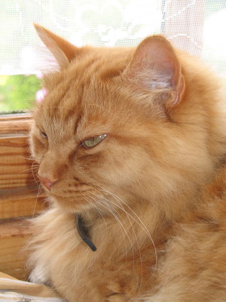 Татьяна Заяц