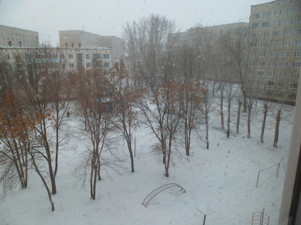 Ольга Запольская