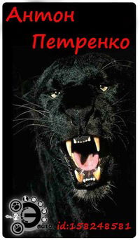 Антон Петренко