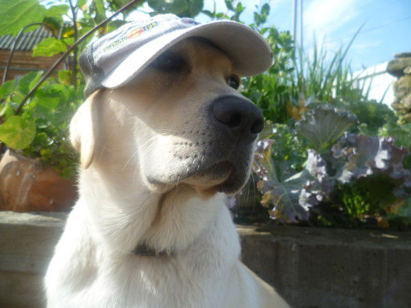 Алексей Еееее