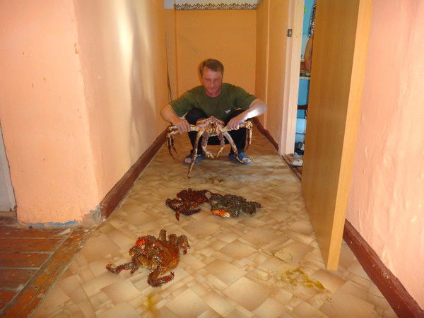 Андрей Рыжков