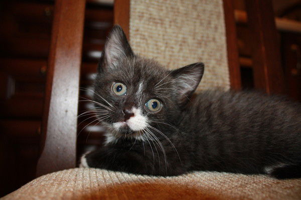 Марина Коваленко