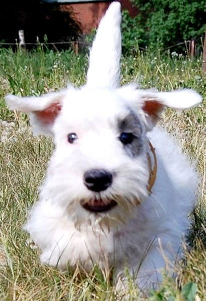 Татьяна Карвасинская