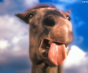 Владимир Vvs