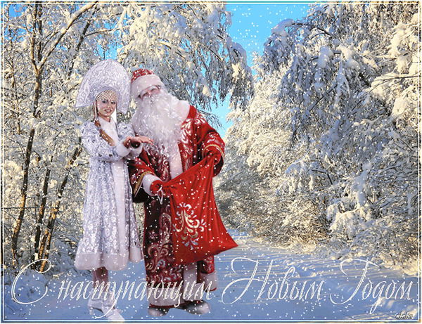 Павлова Таисия