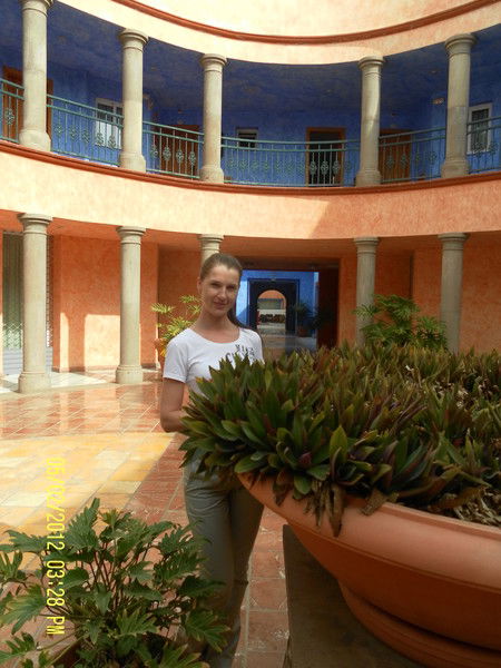 Елена Комароми