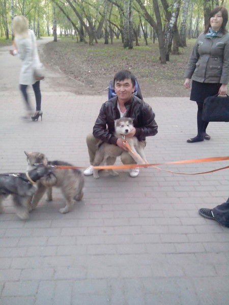 Таалайбек Маматалиев