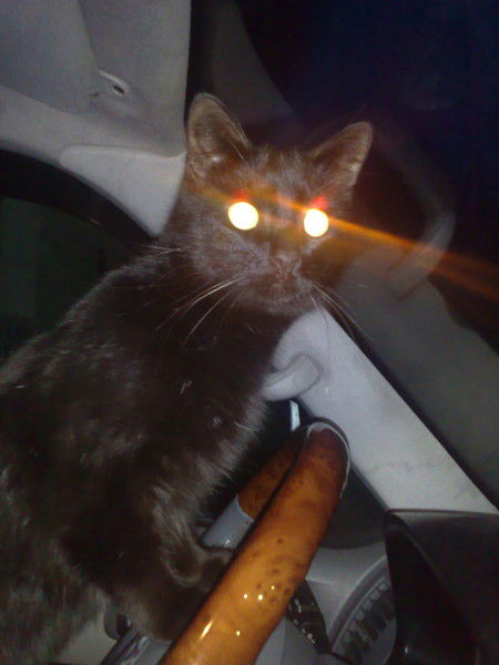 Евгений Прияткин