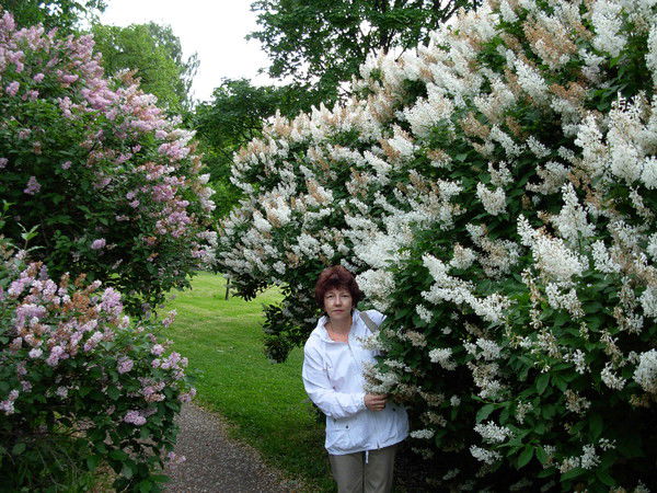 Светлана Шарапова