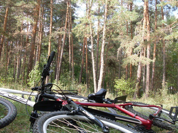 Оленька Сорокоумова