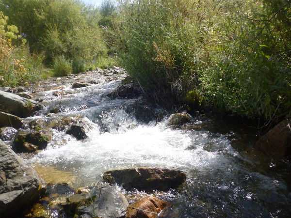 Ляйла Жакупова