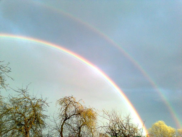 Галина Алексеева