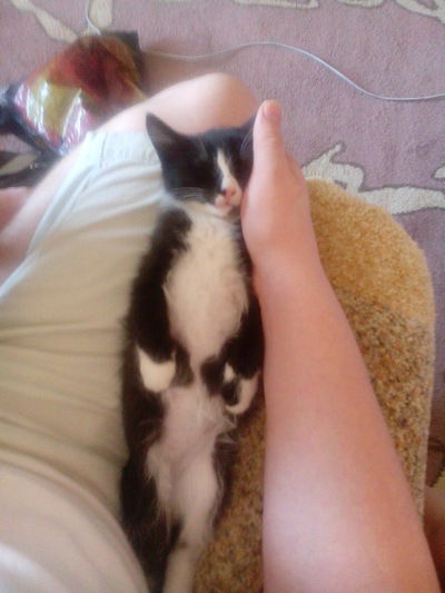 Дарья Солдатова