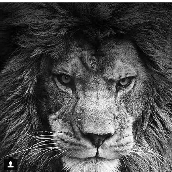 Ахмад Ахмади