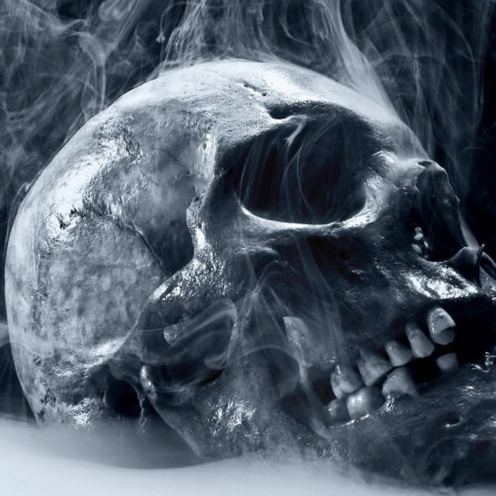 Николай Александрович