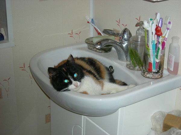 Тата Титова