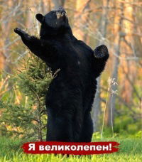 Макс Куценко