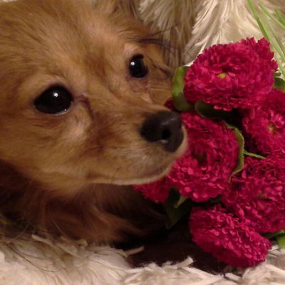 Ульяна Ядрышникова