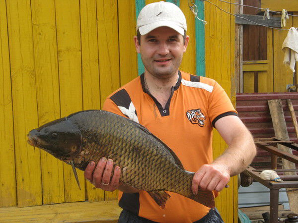 Андрей Чегодаев