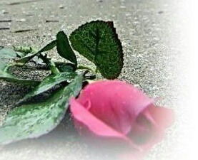 Флористы Самые Сладкие