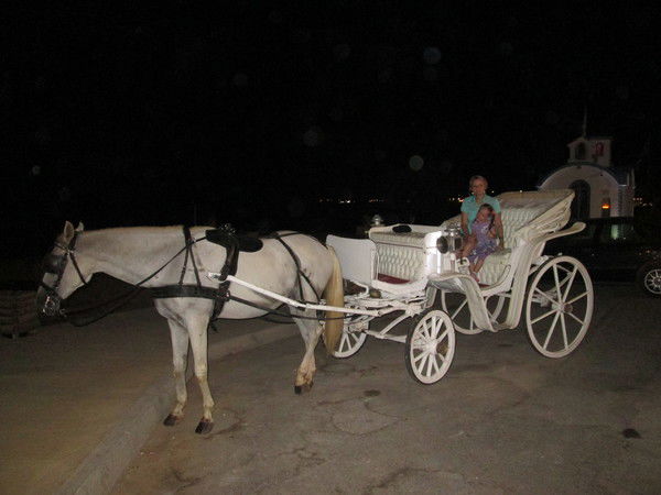 Лариса Абросимова