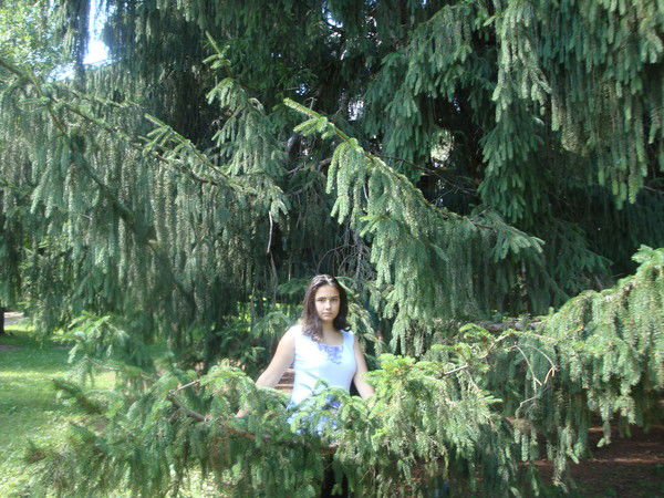 Анна Чихецкая