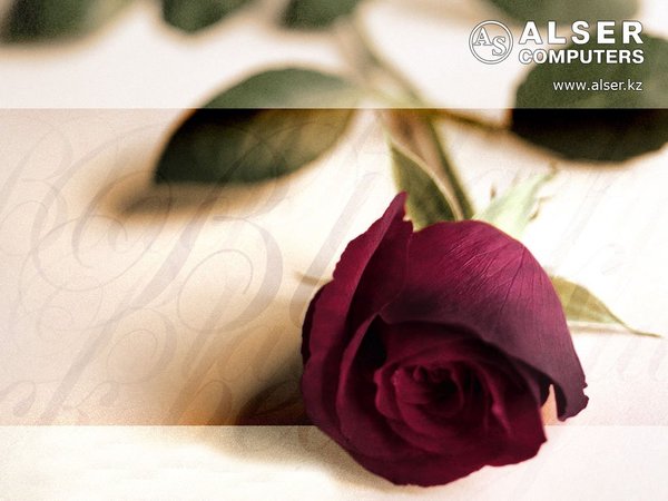 Гульзира Кусбекова