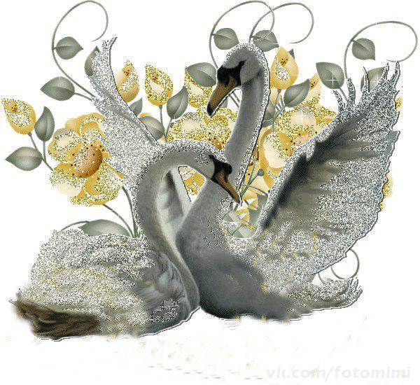 Ерлан Ибраев